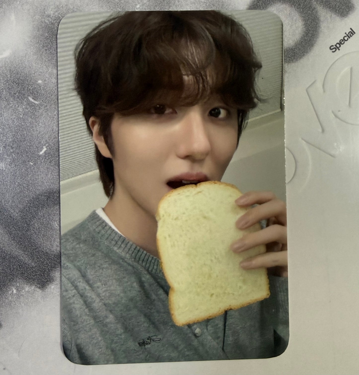 0510 EVERLINE VC -CHANI
